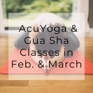 AcuYoga and Facial Gua Sha Massage Classes in Auburn, Syracuse, and Seneca Falls in February and March