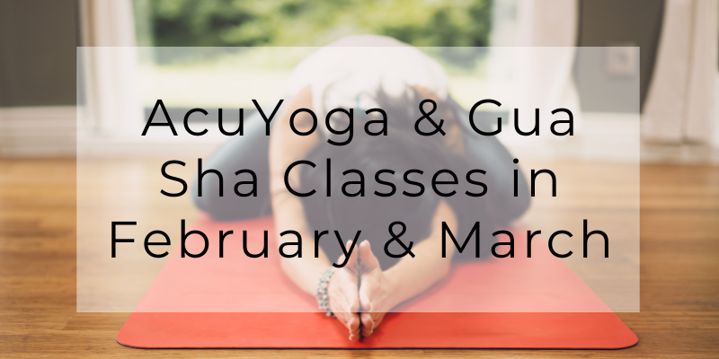 AcuYoga and Facial Gua Sha Massage Classes in Auburn, Syracuse, and Seneca Falls in February and March.