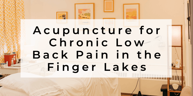 Acupuncture for Chronic Low Back Pain in the Finger Lakes Region