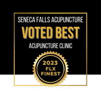 Seneca Falls Acupuncture Voted Best Acupuncture Clinic in the Finger Lakes in the FLX Finest Competition 2023.